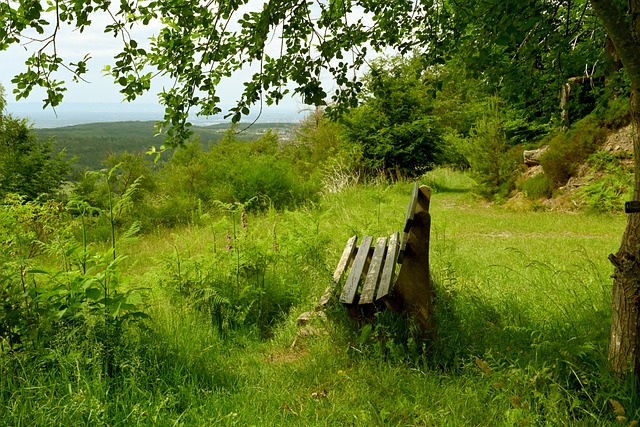 手腕骨折+肩部受伤，巴黎主席纳赛尔缠着绷带赴客场督战欧冠