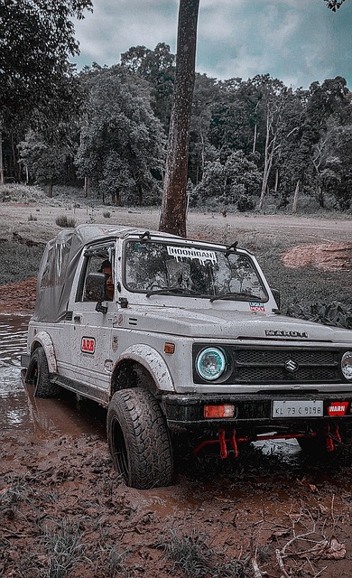 衔当视线