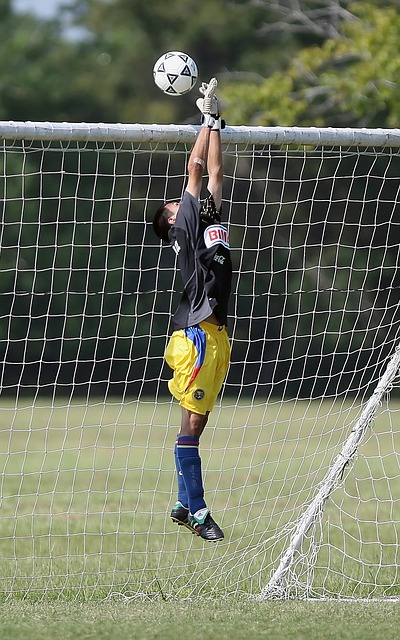 探讨这两大 探讨这两大