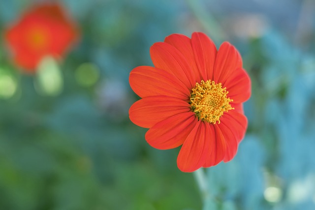 苏州肯帝亚 苏州肯帝亚