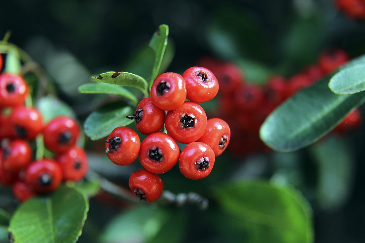 够充分发挥 够充分发挥