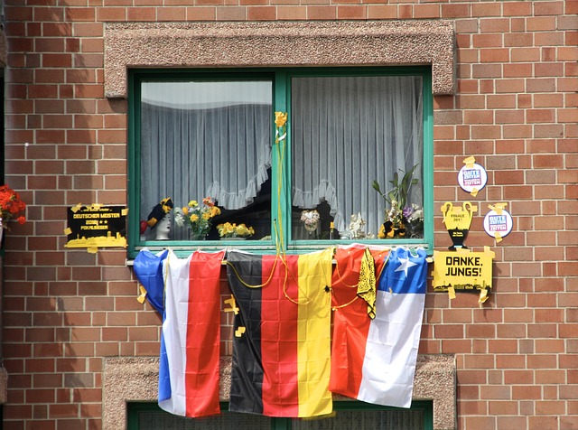 这一盛会将 这一盛会将