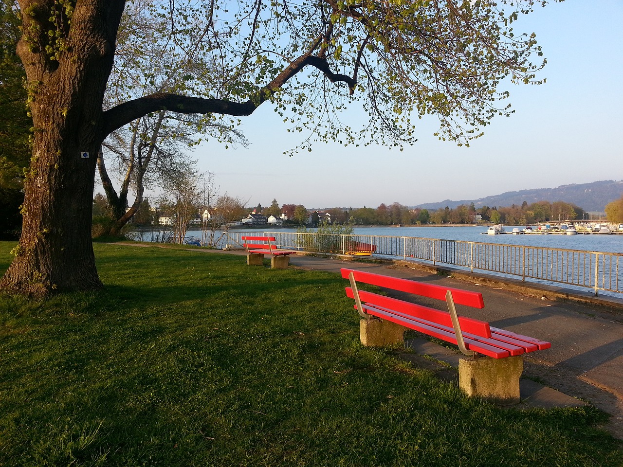 意甲和德甲 意甲和德甲