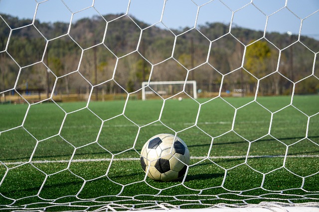 示了中甲球 示了中甲球