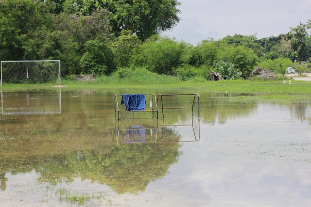 映了他的 映了他的